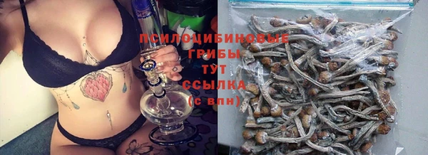 MESCALINE Новодвинск