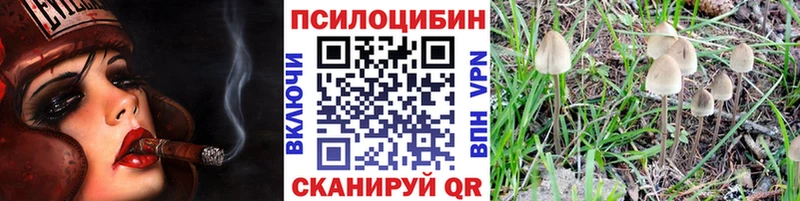 Галлюциногенные грибы ЛСД  omg сайт  Ужур 
